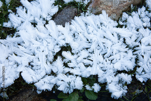 Hoarfrost in Lenna, Winter Landscape in Brembana Valley, Italy