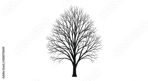 A stark leafless tree stands prominently against a white background a beautiful dark silhouette