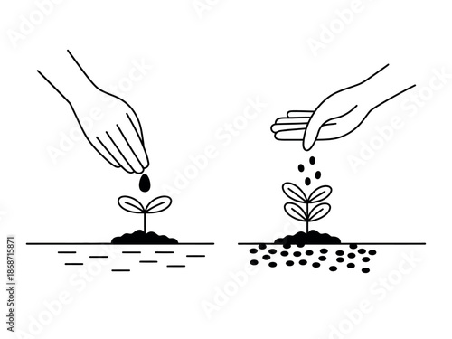 Planting Seeds for Growth and Development