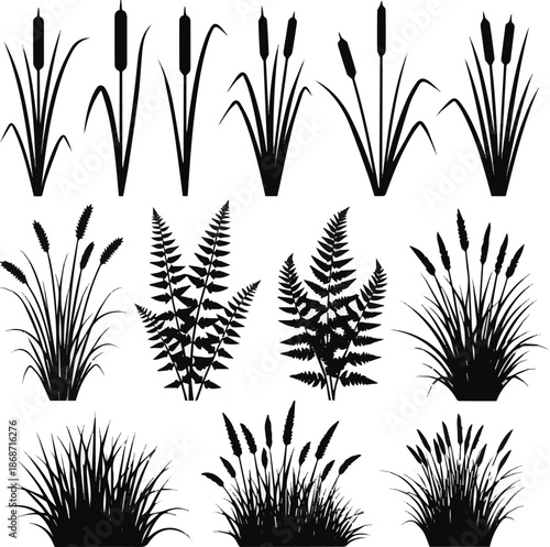 Create a Comprehensive vector silhouette set of wetland, aquatic plants, cattails, reeds, ferns, and grass isolated icons for nature landscape design