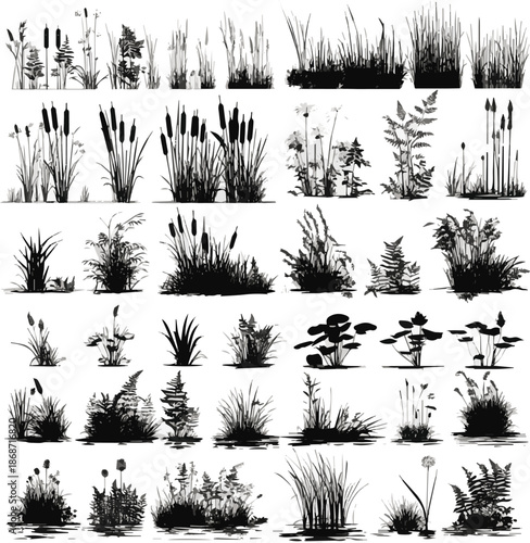 Create a Comprehensive vector silhouette set of wetland, aquatic plants, cattails, reeds, ferns, and grass isolated icons for nature landscape design