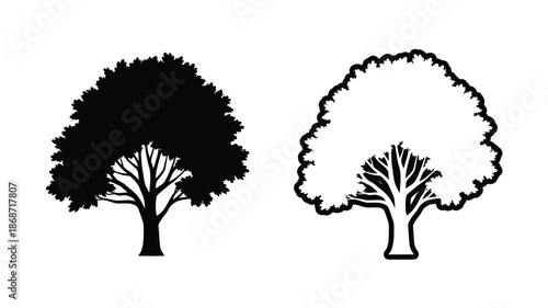 Two contrasting trees depicted in black and white a striking silhouette
