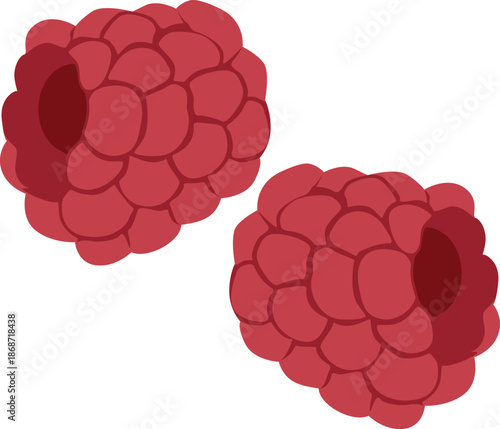 Two red raspberries on a white background, illustration of fruit with detailed texture and shading.