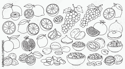Fresh Fruits and Healthy Nuts Assortment Line Art Collection