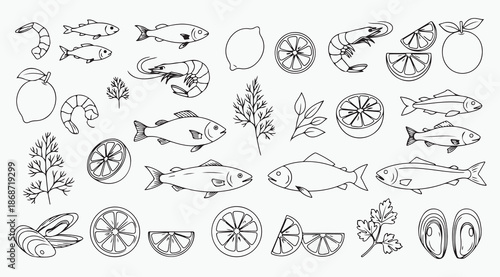 Fresh Seafood and Citrus Fruit Culinary Ingredients Line Art Set