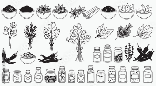 Culinary Spices Herbs and Glass Spice Jars Line Art Collection