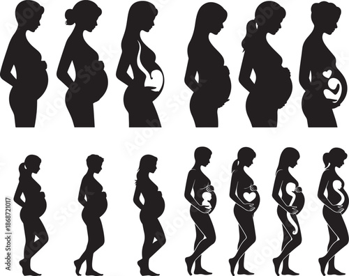 Pregnancy Stages Woman Body Silhouette Set