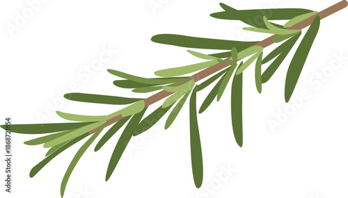 A single sprig of rosemary against a clean white background with green needle-like leaves.