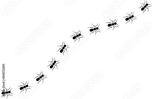 black ants isolated, A line of worker ants marching in search of food. Vector banner, ant trail, ants track