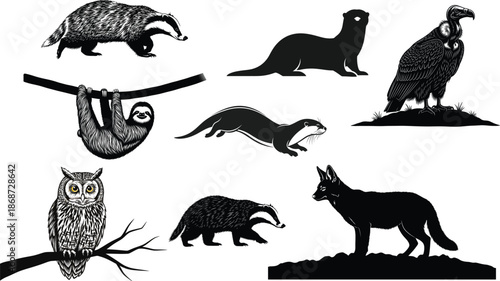 Australian wildlife silhouettes featuring various native animals