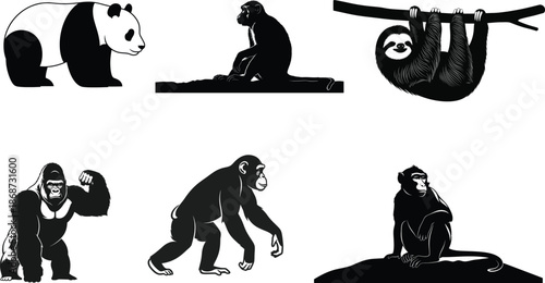 Black and white animal silhouettes including a panda sloth gorilla and orangutan