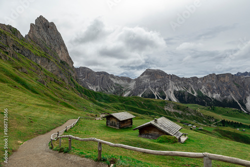 mountain village in the alps