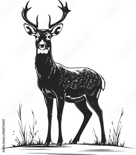 Black and white line art illustration of a calm deer standing in nature, thin smooth outlines, minimal detail, no textures, no shadows, modern vector style, isolated on white background, copyright s