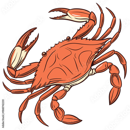 This high-quality, realistic blue crab vector illustration captures the vibrant colors and intricate details of the iconic Callinectes sapidus. Featuring the signature bright blue claws and mottled.