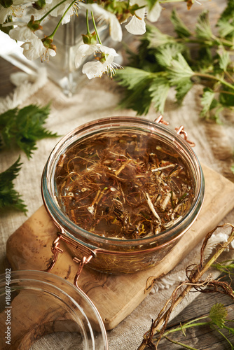 Preparation of herbal tincture from fresh nettle root collected in spring and alcohol