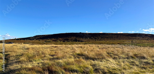 A vast sweep of moorland rolls out beneath a striking blue sky, dotted with hardy shrubs. On the horizon, a distant hill rises near the Cow and Calf Rocks above Ilkley, Yorkshire, UK.