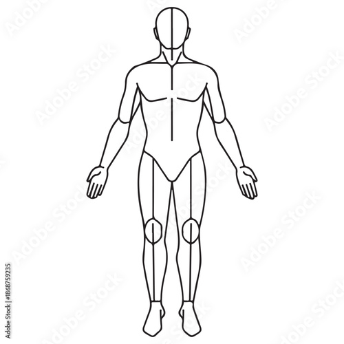 Stylized Human Body Outline for Anatomy and Drawing Reference