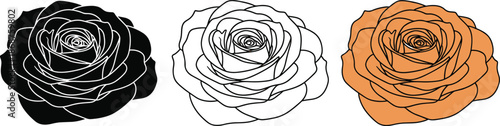 Elegant rose flower line icons set for floral design and decoration