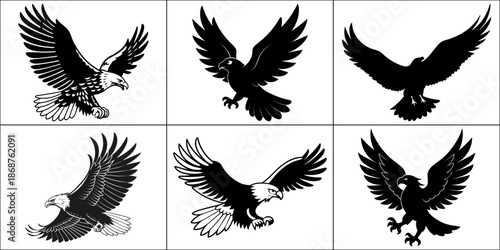 A collection of six images depicting eagles in flight with varying styles
