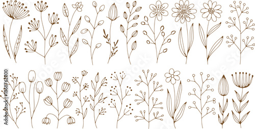 Brown line of various flowers and plants on white background line flowers botanical nature