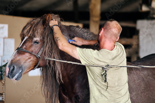 Man grooming brown horse inside stable, caring for mane during routine maintenance