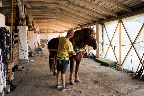 Man grooming brown horse inside rustic stable with wooden beams and daylight