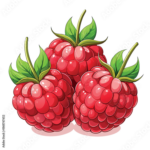 A bright, colorful illustration of ripe red raspberries with green leaves on a white background
