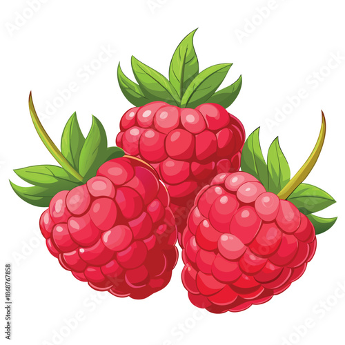 A bright, colorful illustration of ripe red raspberries with green leaves on a white background