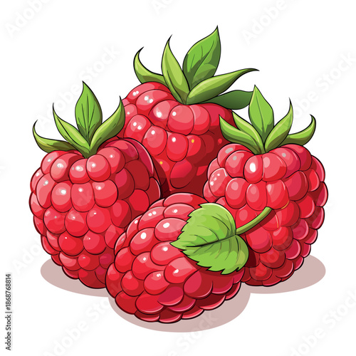 A bright, colorful illustration of ripe red raspberries with green leaves on a white background