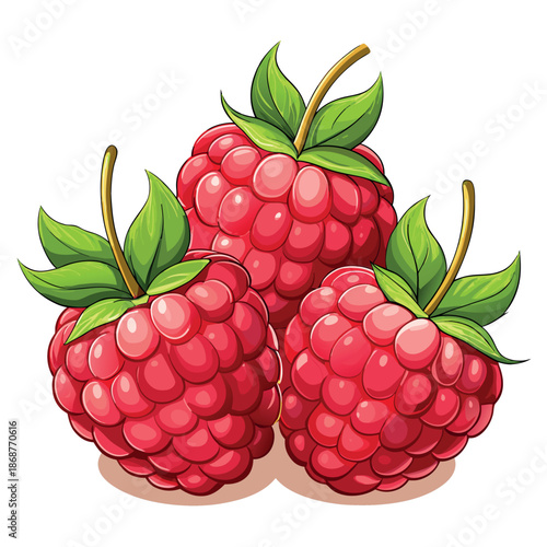 A bright, colorful illustration of ripe red raspberries with green leaves on a white background