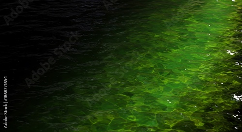 clear green water with sunlight reflection on surface