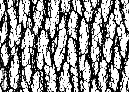 tree bark texture vector background
Vector texture pattern