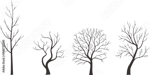 Minimalist black and bare trees with intricate branching patterns