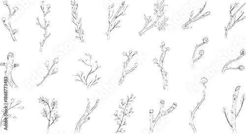 Twenty four hand drawn black and botanical inflorescence line monochrome