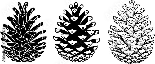 Variety of pine cone designs: geometric, pixel, and hand-drawn styles
