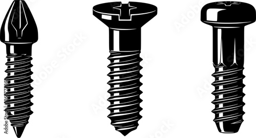 Detailed illustration of three different screw types on a white background
