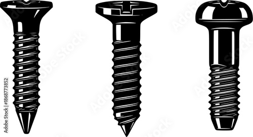 Detailed illustration of three different screw types on a white background

