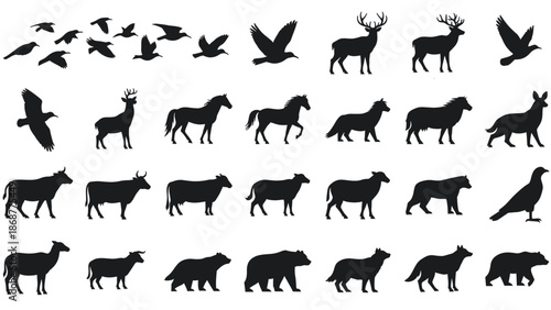 Black animal silhouettes set for design and icons, wildlife vector graphics