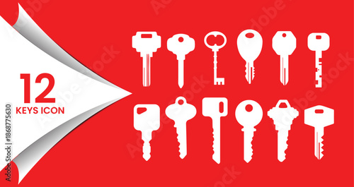 Collection of 12 Flat White Key Icons on Red Background