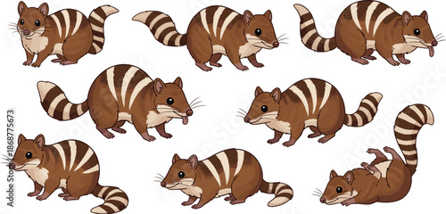 Collection of nine charming quolls, each showcasing its unique pose and striped pattern, isolated on white background these delightful creatures bring a touch of whimsy
