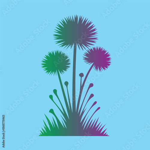 ddrr isolated on white background