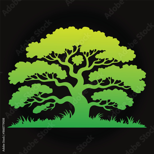 jil isolated on white background