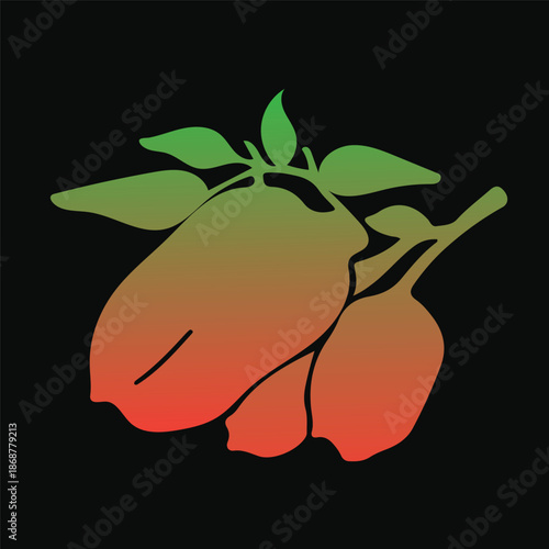 xz isolated on white background