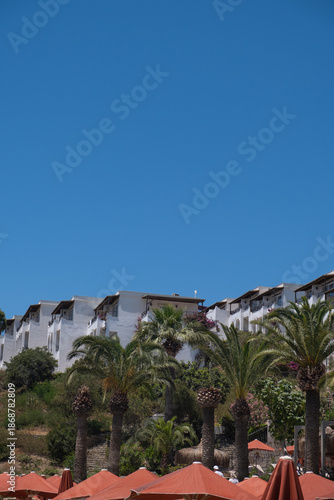 Relaxing at a seaside resort under clear skies with palm trees and umbrellas on a sunny day