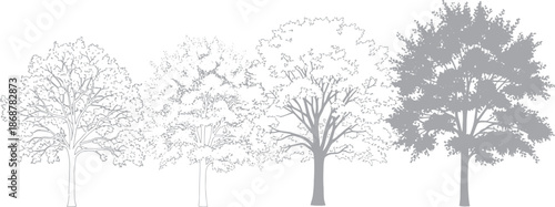 Set of architectural trees in various styles, including minimalist line art, detailed sketches, and grey silhouettes for landscape design and site plan rendering.