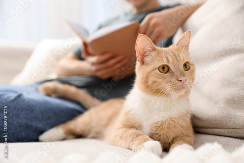 Wallpaper Mural Cute ginger cat and his owner with book on sofa at home, closeup Torontodigital.ca