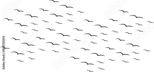 Flying birds silhouette pattern scattered across a clean white background. Minimal wildlife and freedom concept with abstract motion. Nature inspired graphic ideal for wallpaper, prints, and design us