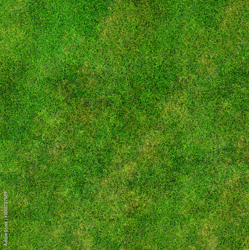 Worn Patchy Green and Brown Grass Texture