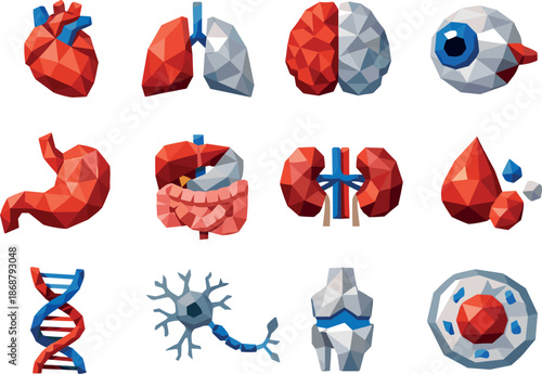Geometric Anatomy Icons. Low-poly geometric icon set focused on anatomical structures, including human heart, lungs, brain, and