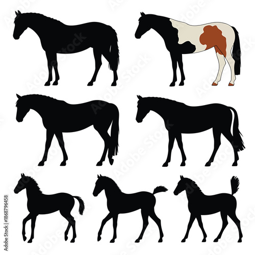Collection of horse silhouettes and a colored paint horse illustration